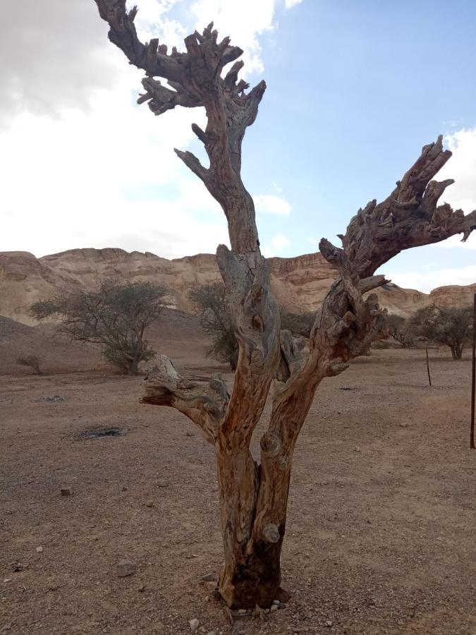 הבית החום בערבה יחידה זוגית Sappir Buitenkant foto